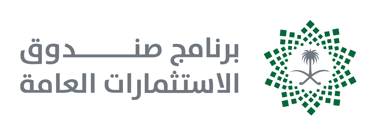 Vision 2030 PIF Program